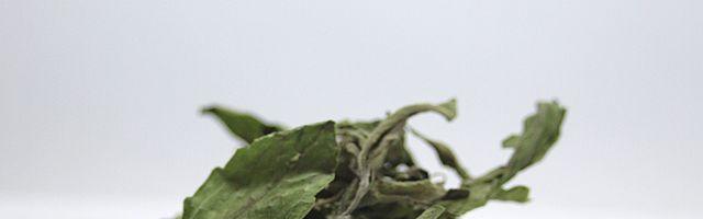 I dolcificanti artificiali e i vostri denti 2