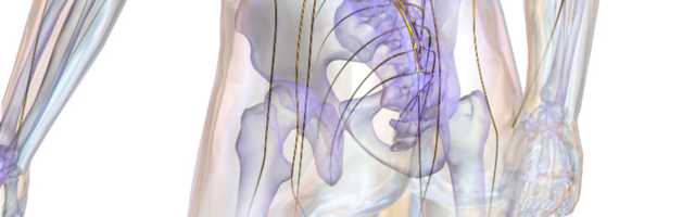 I rudimenti dei tratti umani