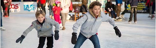 Pattinaggio: Natural History Museum