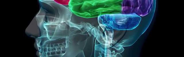 The Psychology Of Wisdom Teeth