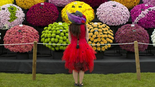 Chelsea Flower Show