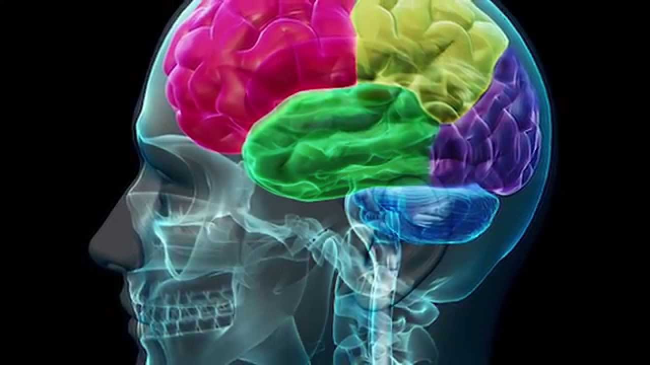 The Psychology Of Wisdom Teeth